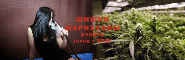 гашик Балахна