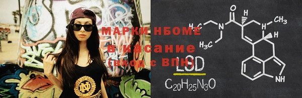 прущие грибы Армянск