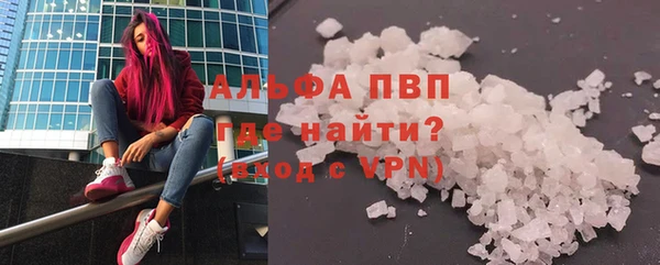 прущие грибы Армянск